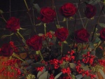 symbolisch bloemschikken rood